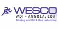 WDI-Angola , Lda logo